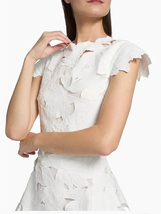 Simkhai Holloway embroidered lace mini dress - Picture 7 of 8